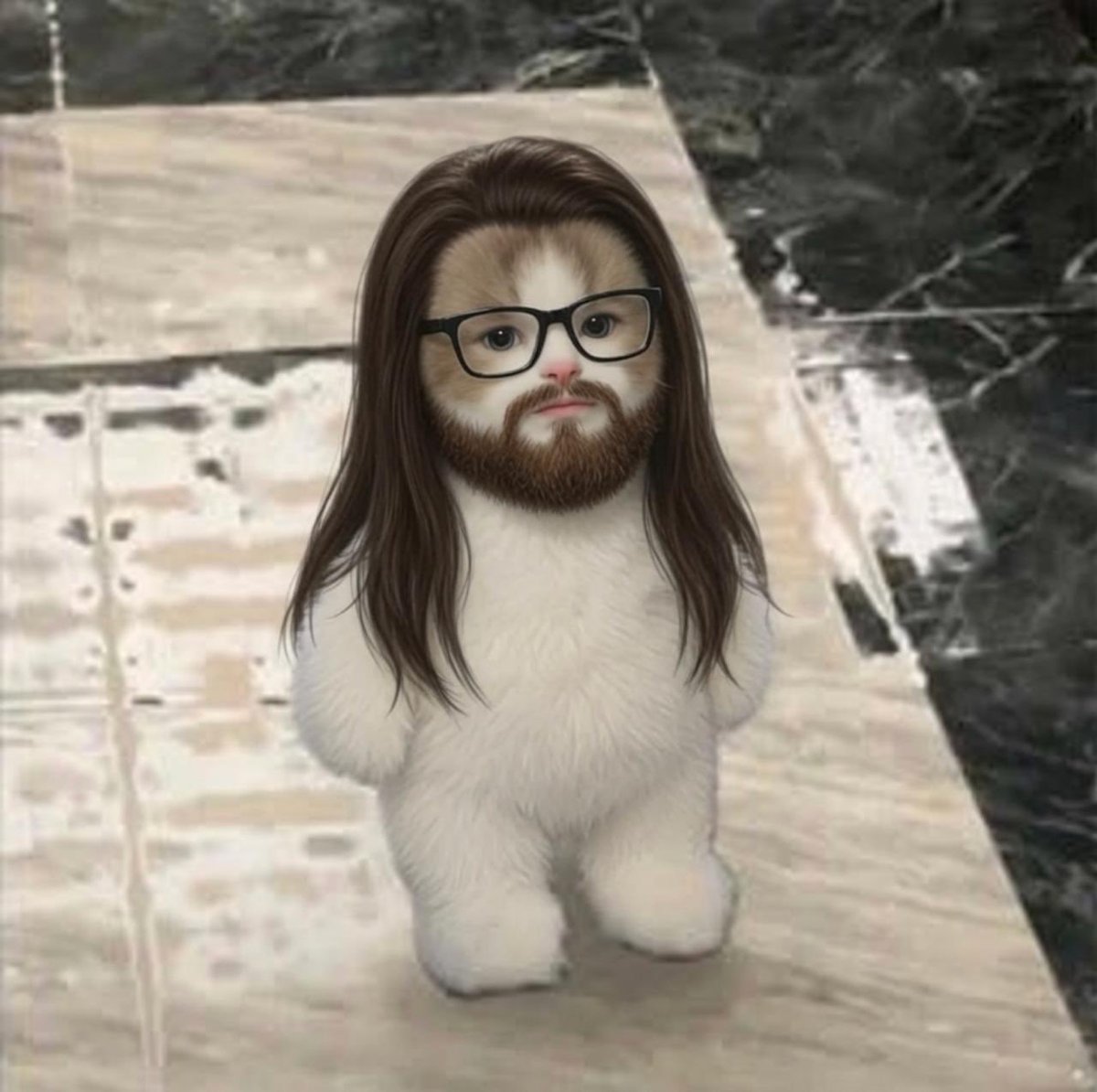 boblaxalt's tweet photo. @CookerFlips Miurad said if you want to maximize your PNL you’ll ape the best cat on usdc https://t.co/atavbLUeLv