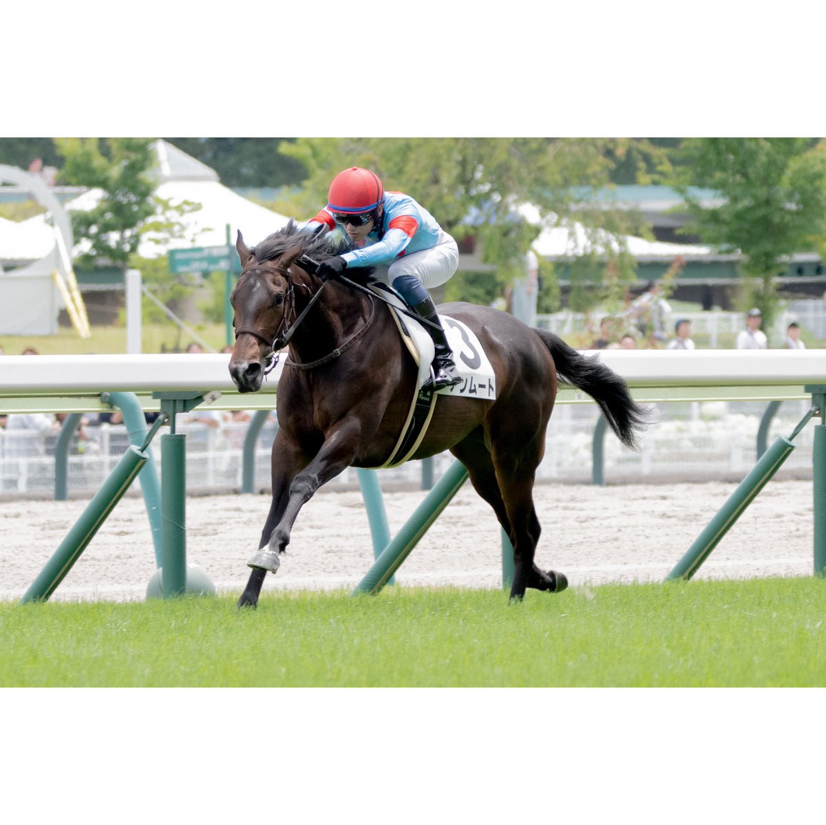 💫💫Victory💫💫 2026.06.27 5R新馬@福島競馬場 アンムート 坂井瑠星
