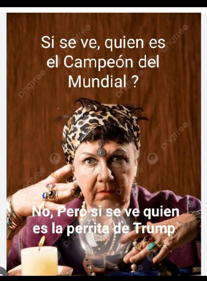 gustavoalf39675's tweet photo. #PerritaDeDonaldTrump https://t.co/ZPBEHoc6Yk