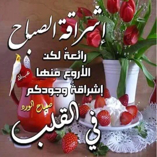 jaber132014's tweet photo. #صباح_آلخيــــر 🫶🏻💐 https://t.co/xqzaDltC8n