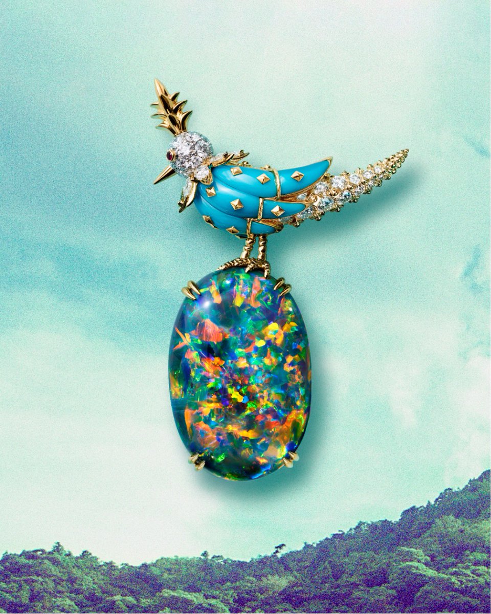 JewelleryTokyo's tweet photo. 「ティファニー 銀座」のオープン1周年を記念して発表された日本限定「バード オン ア ロック」ブローチ。モルガナイト、ブラックオパール、オレンジーピンクトルマリン、ウォーターオパールの4種の宝石で春夏秋冬を詩的に表現している。
つかこのモルガナイト、色が素晴らしく濃いな！ https://t.co/5ywkdlEKZd