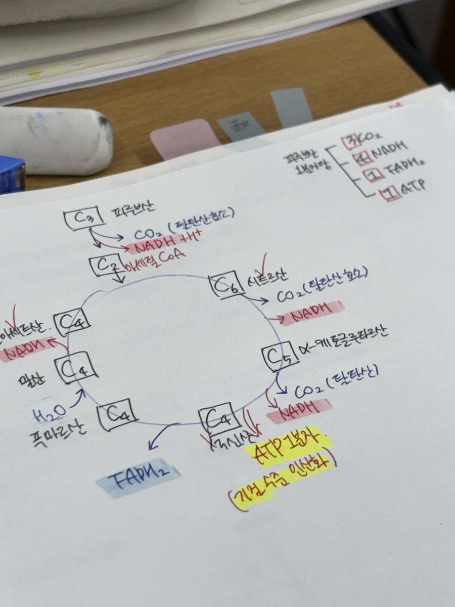 heidi06130331's tweet photo. 내인생 마지막 내신은 나에게
정신병을 준다 …

#studytwt https://t.co/uyLsinQsxi