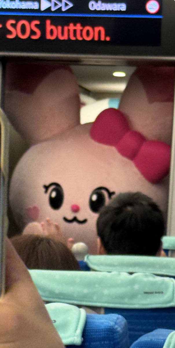 mymeeeen_prfm's tweet photo. 耳がデカすぎるピョンピョンの入り方おもろかった笑笑

#NiziU  #推し旅 https://t.co/uCMVYRgTm0