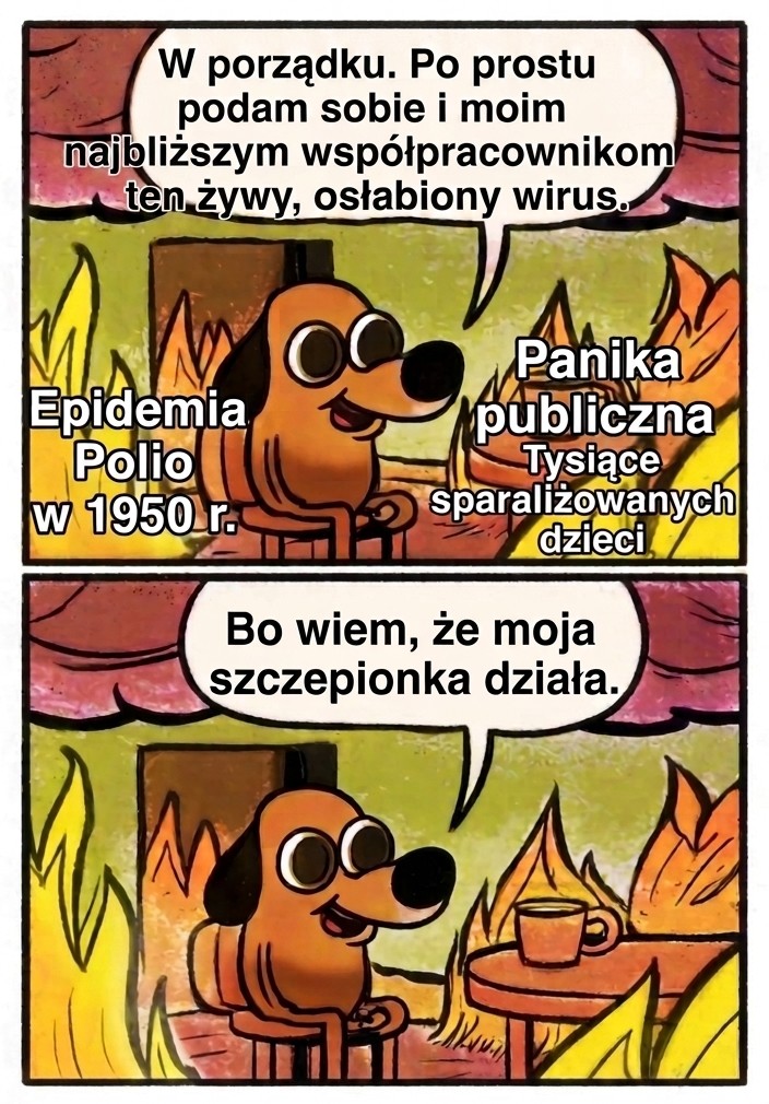piotrsankowski's tweet photo. Sobota to czas na naukowego mema. Dziś jednak zamiast żartu, przypomnienie wielkiego sukcesu polskiej myśli Naukowej #PolishMinds #PolandMaxxing 

​Hilary Koprowski stworzył pierwszą na świecie szczepionkę na polio, chroniącą przed chorobą Heinego-Medina. Była to przerażająca, niszczycielska choroba - bezlitośnie atakowała układ nerwowy, powodując tragiczne w skutkach, nieodwracalne porażenia i odbierając sprawność głównie najmłodszym.

​Jego wynalazek pomógł opanować sytuację i uratował tysiące dzieci w Polsce oraz w Kongo w trakcie trwającej wówczas pandemii. No i oczywiście najpierw przetestował ja na sobie...