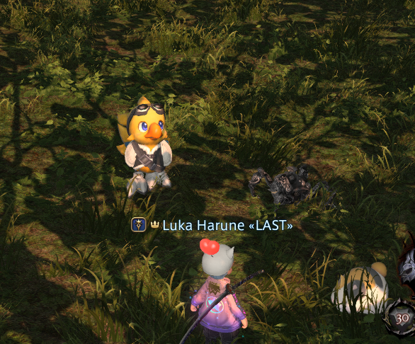 LukaHarune's tweet photo. すごいのに遭遇しちゃった
追いかけていったら消えちゃったけど https://t.co/PgCdQTC0LB
