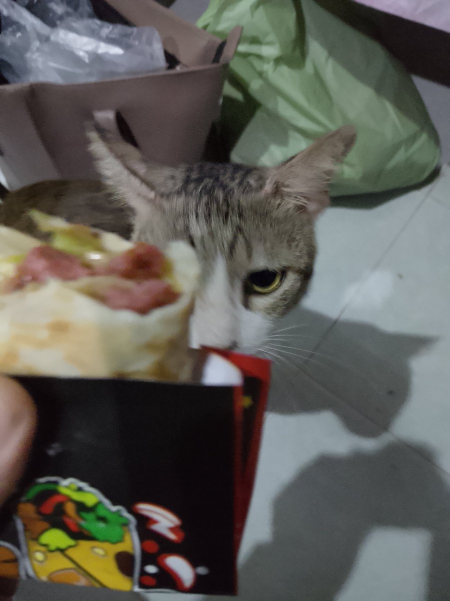 moondustian's tweet photo. Maaf, aku udah jadi single mom sejak dini. https://t.co/vVpqaFBtOn