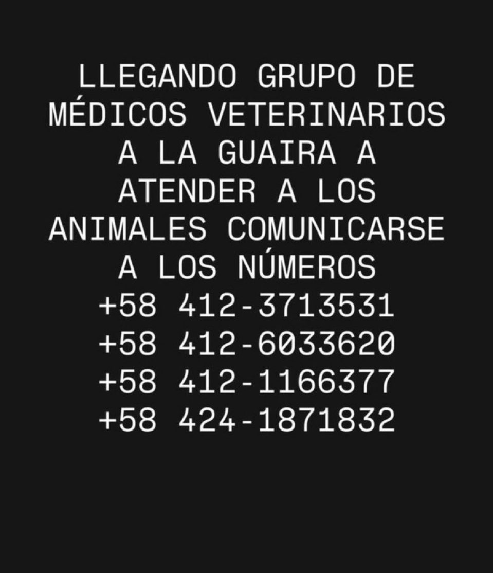 albacoduttivet's tweet photo. https://t.co/qvAZLo05pR
