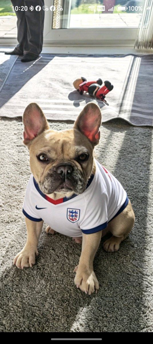 pageythfc123's tweet photo. #ssnthreelions https://t.co/lzdny0zXHx