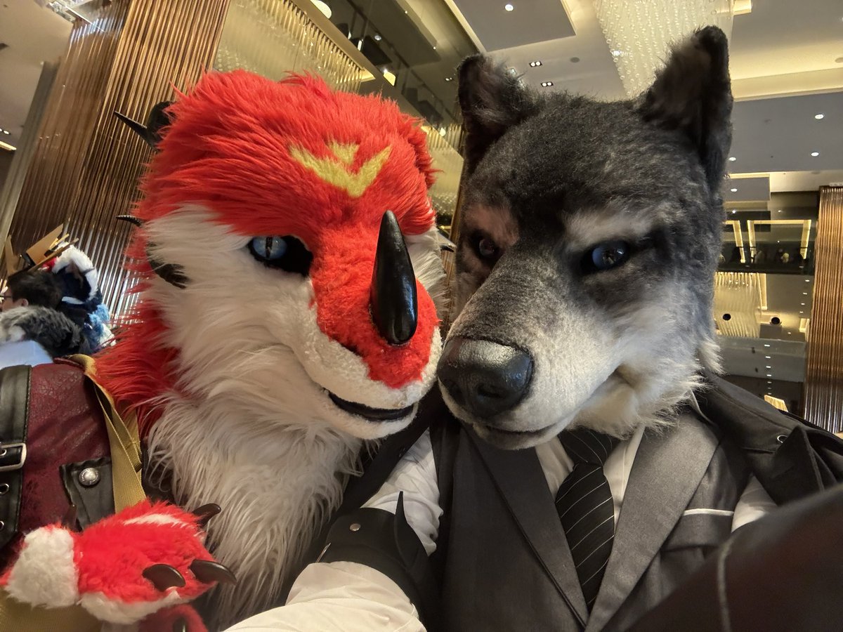 ice80532400's tweet photo. UTFG Day1
#UTFG #furry https://t.co/x4loQsLq2l
