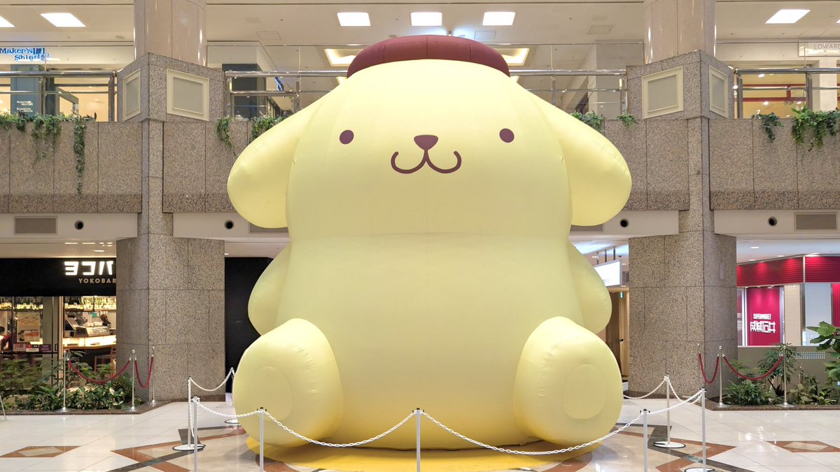 chel_neko's tweet photo. @satorihaiboku まさかその金貨買われたとは…すごい愛…！
今日はみなとみらいにいる巨大ポム拝んで健闘祈ってきました
明日楽しみましょう＼＼\\٩( 'ω' )و //／／ https://t.co/MLtHItuLva