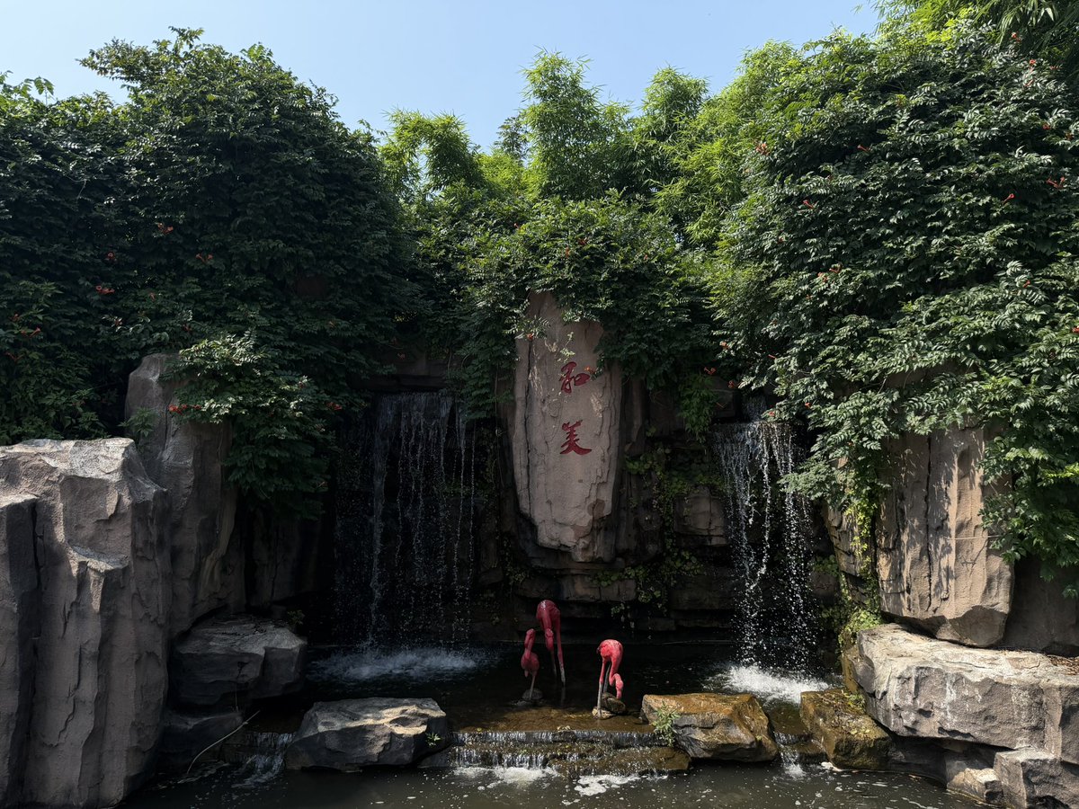 hustgh's tweet photo. Mulan grassland in Wuhan city. https://t.co/qxvqx0vuZO