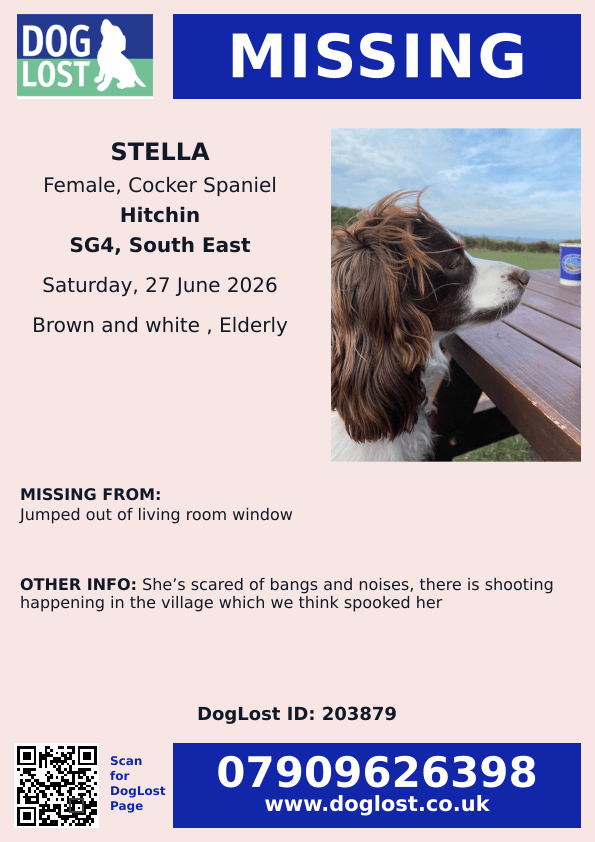 millypod1's tweet photo. 🆘27 JUNE 2026 #Lost Stella #ScanMe
Elderly Cocker Spaniel Female
#Hitchin area #Hertfordshire #SG4
https://t.co/uvfGsspM1u https://t.co/dHNbdBZ1f0