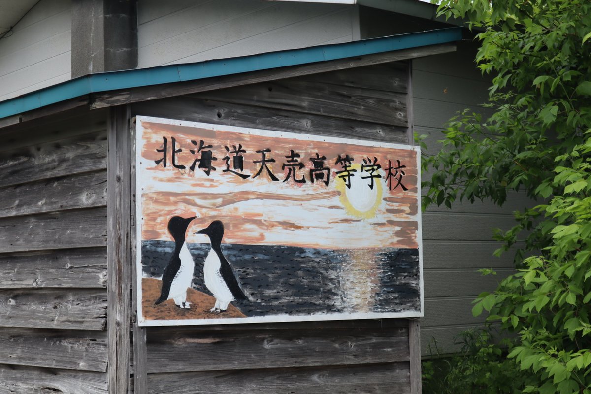 oohatasan's tweet photo. 天売島、天売高校。

人口250人の島に高校があるなんて。

木造平屋の高校校舎は初めて見た。
生徒は10人。

来月開催の文化祭のテーマはイケナイ太陽。 https://t.co/cUXgyn8JaD