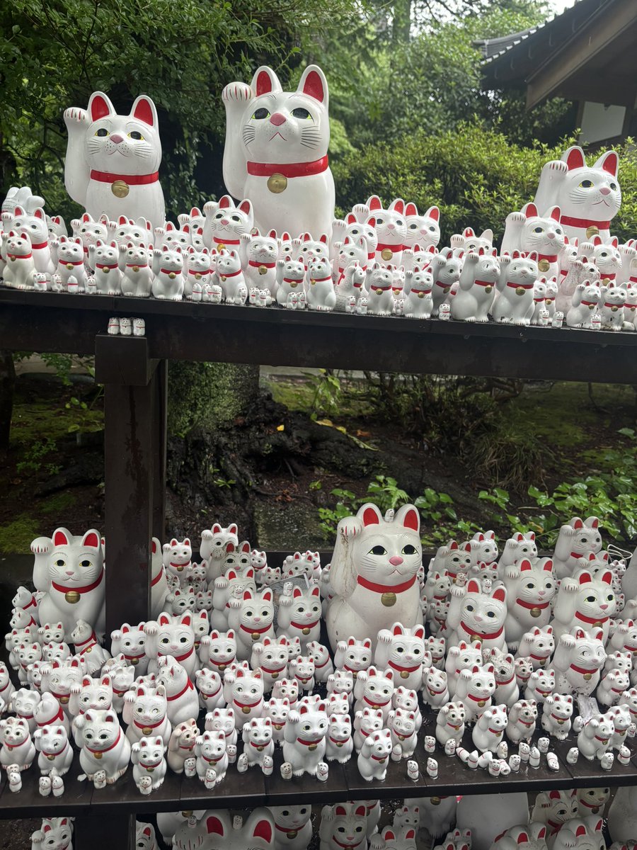 entirelydan's tweet photo. gotokuji temple https://t.co/qfYtRYEIGC