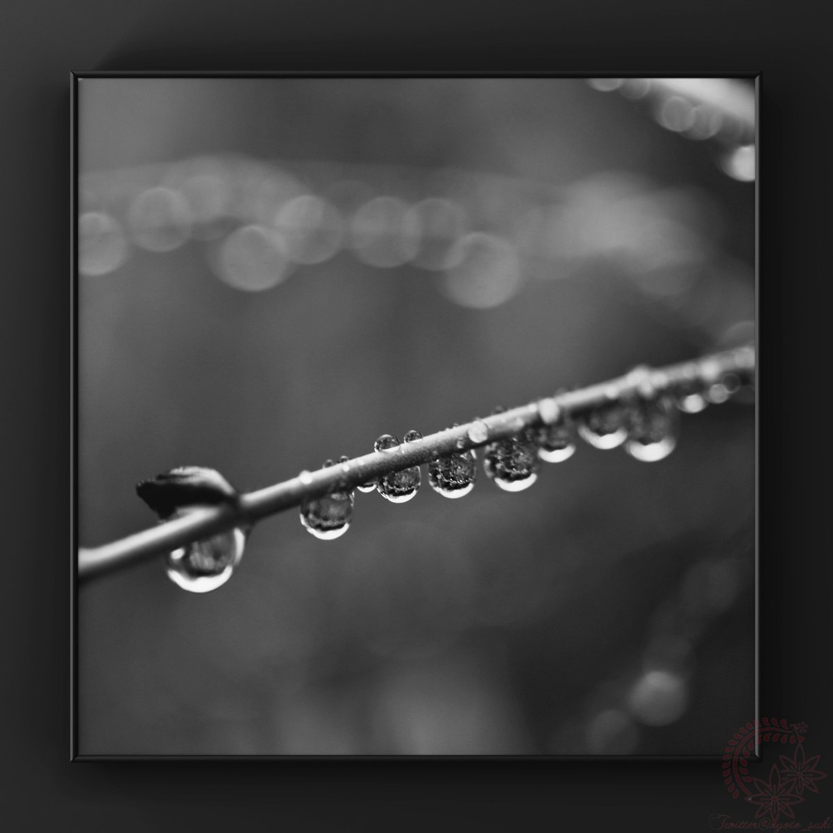 kyoto_suki's tweet photo. お遊びf^_^;)
本日の車窓から。雨ですねぇ。さて…
CANON #EOS50D NIPPON Kogaku #NIKKOR-Q AUTO 135mm F3.5 https://t.co/nRYEYAspDQ