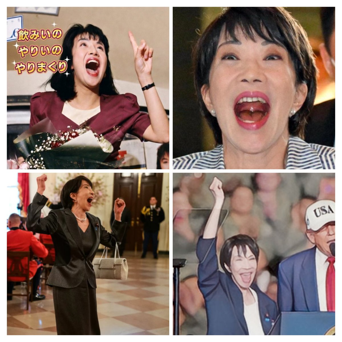 fukumarukomaru's tweet photo. @takaichi_sanae https://t.co/bhjuZrG5K5