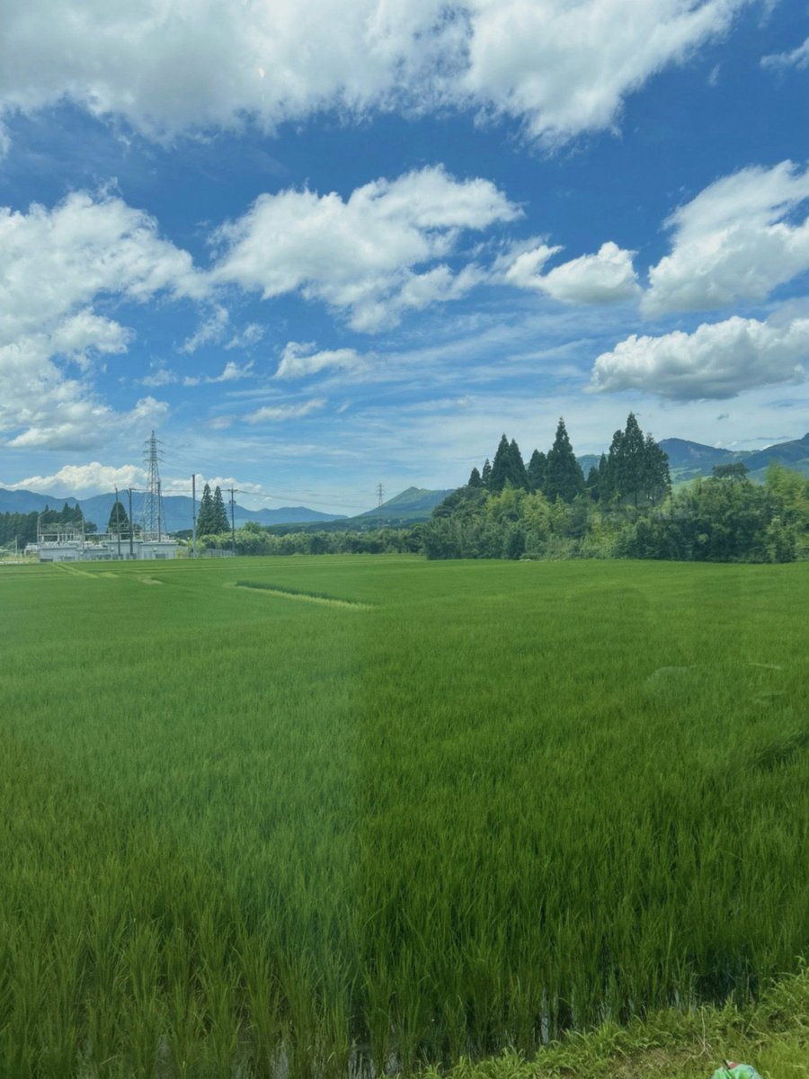 cuneydmur's tweet photo. タイムカプセルの頁より
第4部：始まりの足音
「狙う……？ 誰に……？」
喉の奥がカラカラに乾き、声にならなかった。悪���にしては、あまりにも手が込みすぎている。
その時、静まり返った校庭の入り口から、ザザッ、と砂利を踏みしめる重い足音が聞こえた。 https://t.co/SzDjVL8bxh