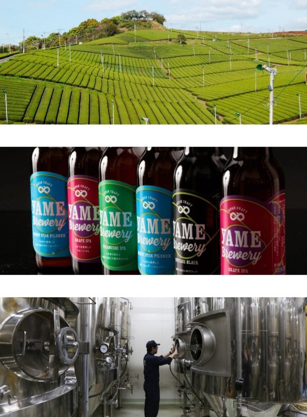 BhBeerbeer's tweet photo. 🍻新入荷ゲストボトル🍻

福岡県八女ブルワリーから
ピルスナー、IPA、ブラックの3種類🍺

ぜひ、お楽しみを～

Open 18:00～23:50

#ビアハウスビアビア
#赤羽ビールバー
#クラフトビール
#八女ブルワリー
#beer https://t.co/vGxyxN5MPD