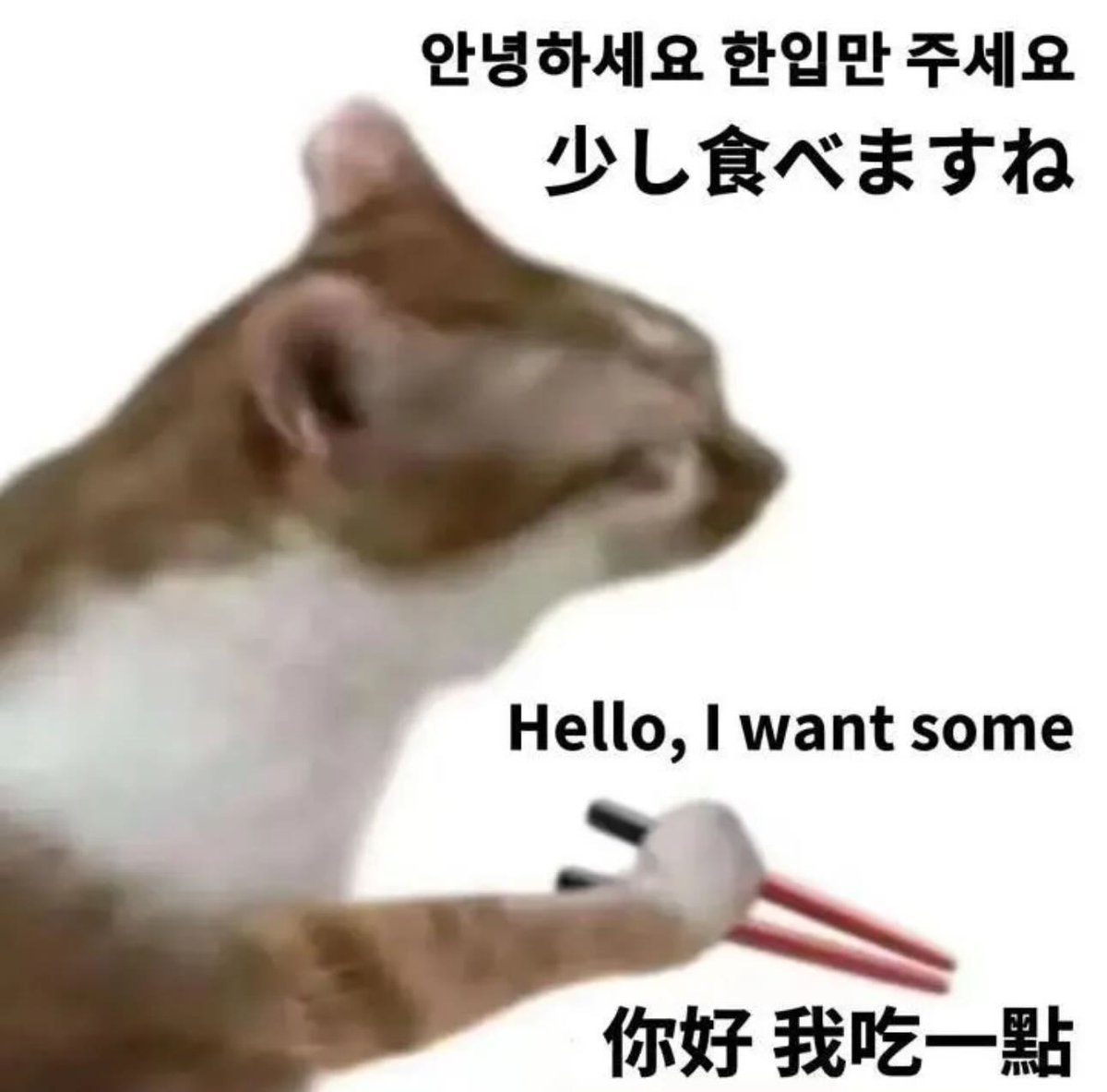 Solart_lu's tweet photo. @golae553346 @DJDJDJD33851431 @simcine123 https://t.co/wqGs9LII5y