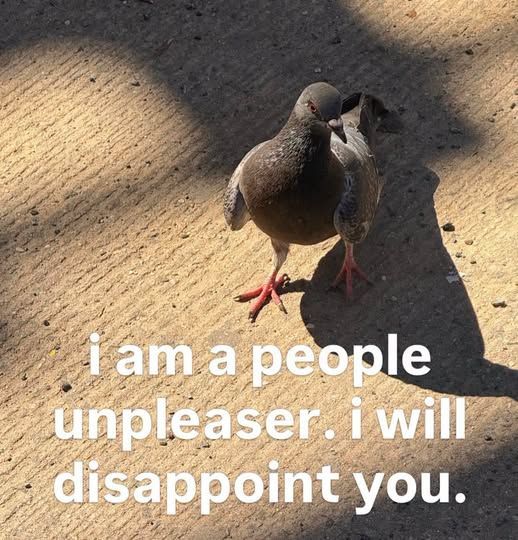 ADHDForReal's tweet photo. https://t.co/VVlBcCJBqo