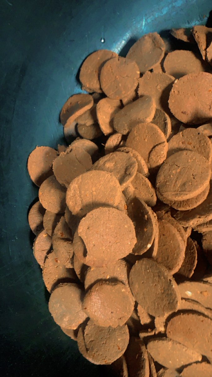 bidex_80's tweet photo. Introducing Kuli alata
Not ur regular kulikuli 
Made wit d finest groundnuts nd loaded wit cloves, pepper, ginger, nd white turmeric 4 a bold, unforgettable flavour.
Perfect as a snack, appetizer, or party treat.
Once u taste it,u cn't stop!
📞 Call/WhatsApp: +234 811 195 8600 https://t.co/PsRz0gbW3v