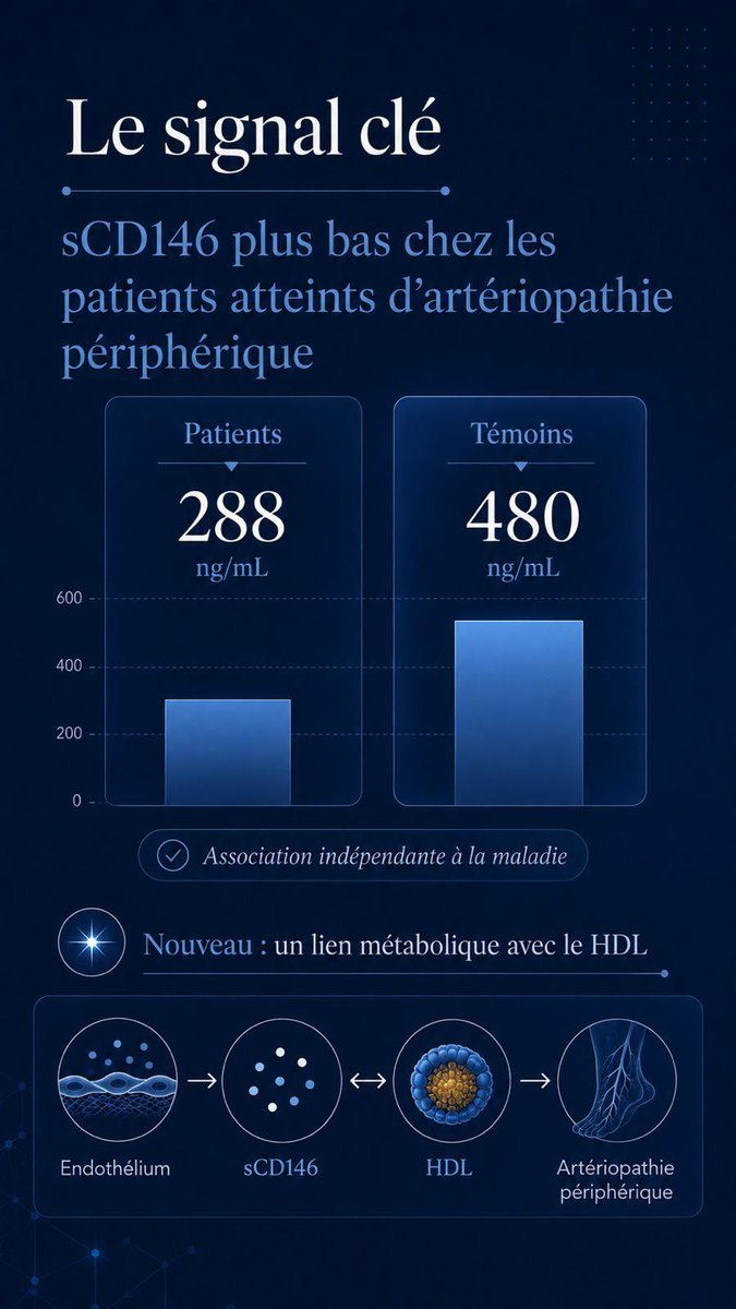 DavidMSmadja's tweet photo. Un nouveau regard sur l’artériopathie des membres inférieurs. Dans notre étude publiée dans Angiogenesis, nous montrons que sCD146 est un biomarqueur de la dysfonction endothéliale, avec un lien inédit avec le HDL, ouvrant de nouvelles perspectives sur les mécanismes vasculaires. https://t.co/dSfJu3pAaY