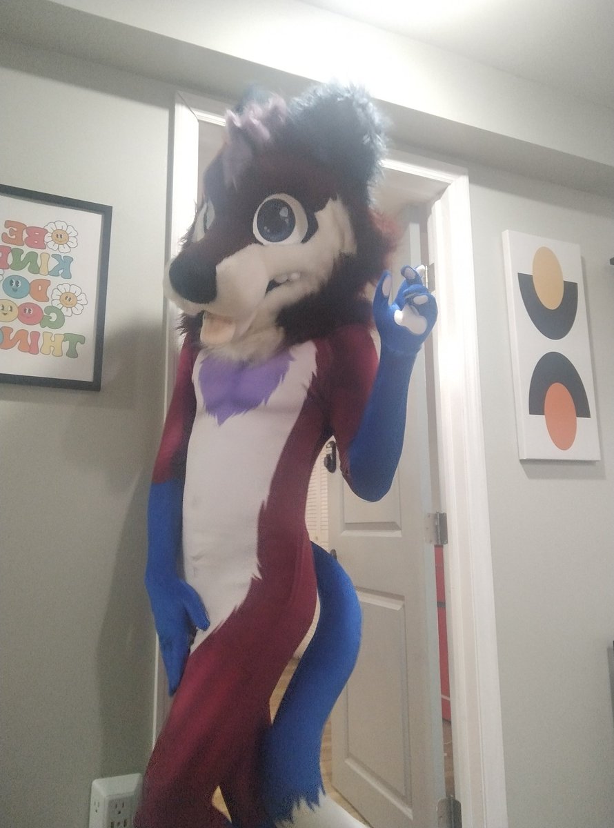 Petoruchosu's tweet photo. OMG that feels so STRANGE... to be ME?

Thank you @PETSUITFORFUN again so much for making and sending it in time for AC just as I asked😭

Also, very late #FursuitFriday  haha https://t.co/GFozH6eIZ3