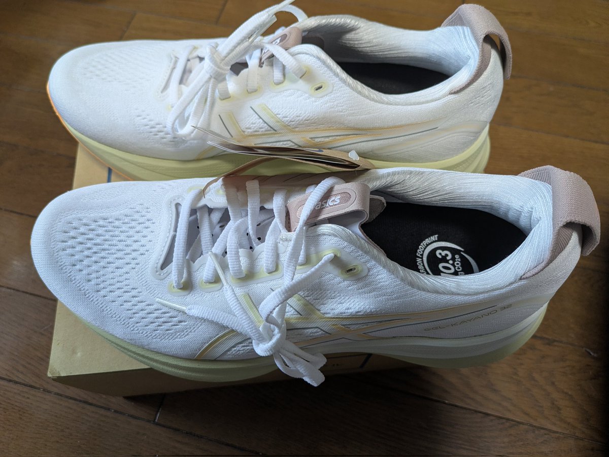 8031_w's tweet photo. 衝動買い…。
これで少しはモチベーションが上がってくれればいいが…。

#ゲルカヤノ32 https://t.co/7i2GM3anci