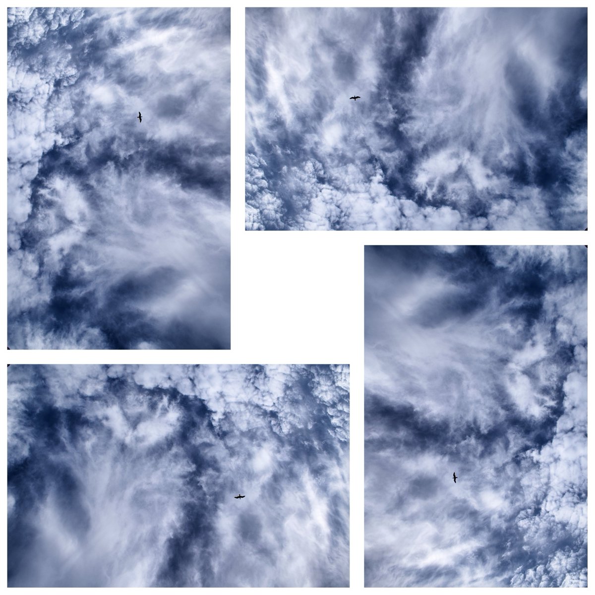Particleclouds tweet picture