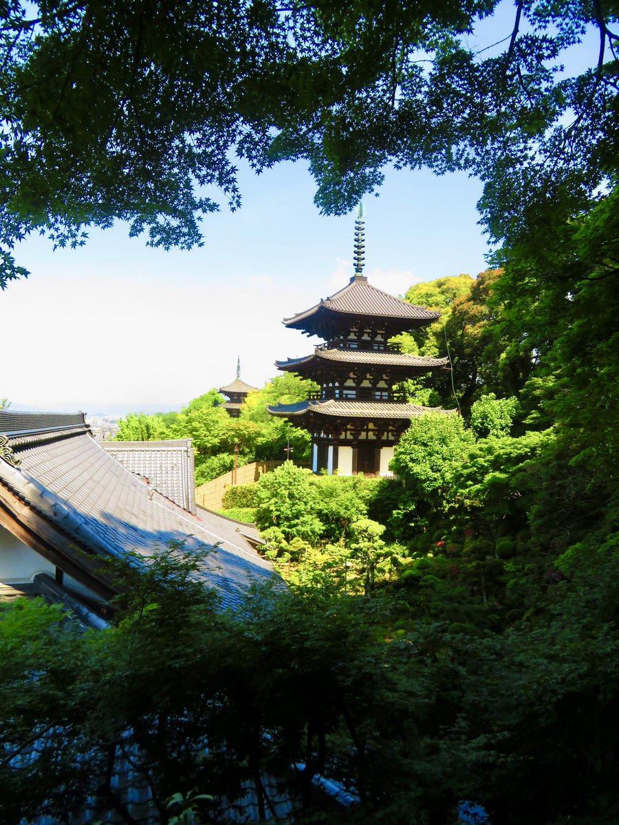 XUUHIRO's tweet photo. 6月1日
奈良旅行で　#當麻寺　西南院さんを　#参拝　
#水琴窟  を拝聴　#御朱印  をいただきました
ありがとうございますm(_ _)m

#寺社仏閣 https://t.co/5gJWTji2ET