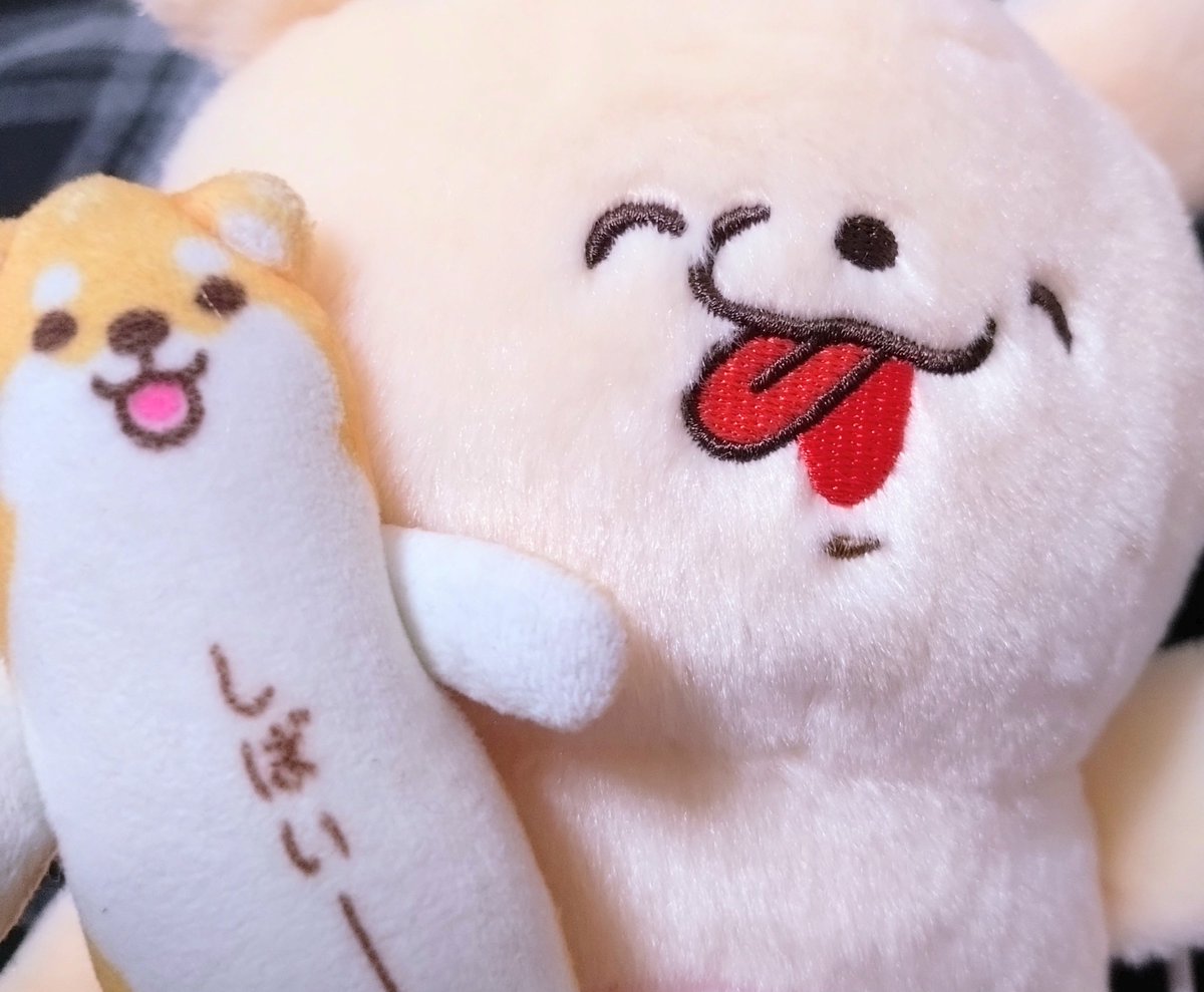 犬の次にえらいわにゃ🌈🐶 (@wanwanyan112) / Posts / X
