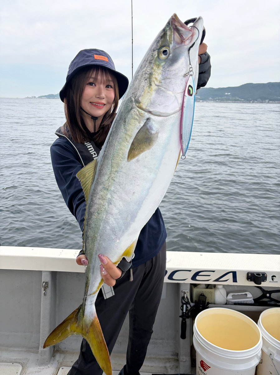 fishing_ayu125's tweet photo. 明石鰤！！！

(X久しぶりでごめんね🥲)
6月は既に17日間釣行してます🐟🐟
#釣り https://t.co/dOVGLa0P3K