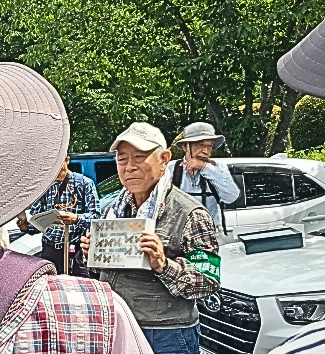 sinpapi2's tweet photo. 今日は西蔵王自然観察会に参加してきました～☺️
アオバセセリの幼虫も教えていただき感激✨
そして大変お世話になった皆様に御礼申しあげます。
本当にありがとうございました。🙇‍♀️ https://t.co/98o8vDogJc