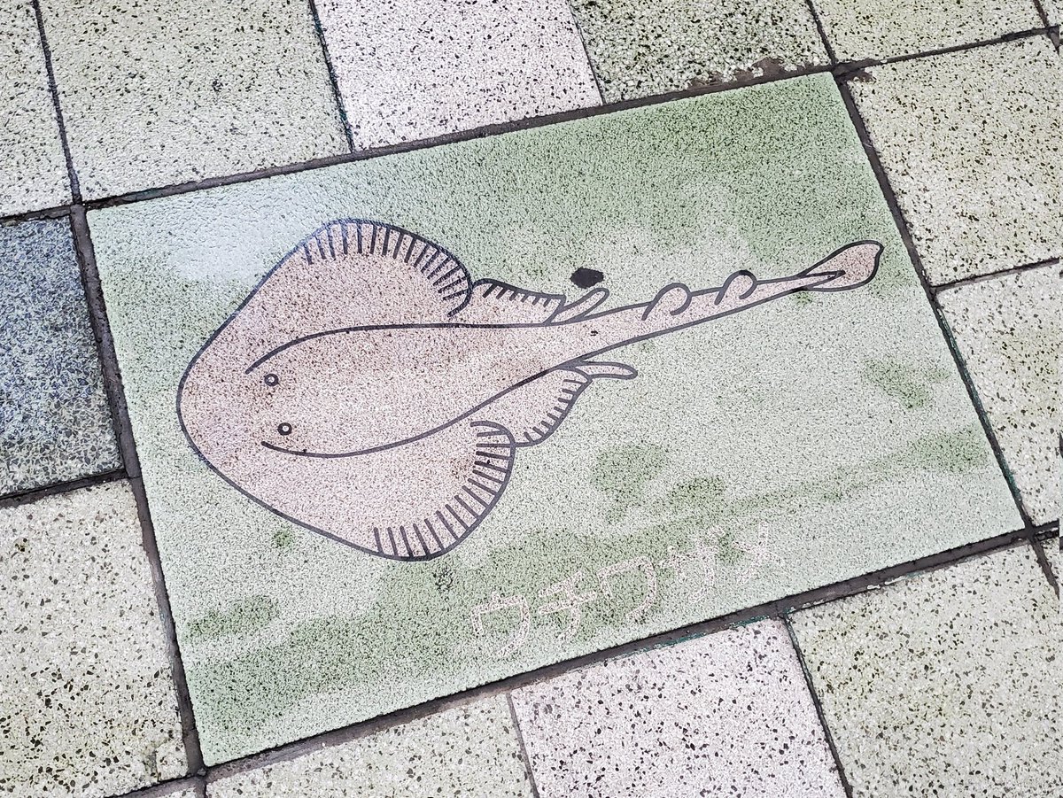 ウオのタイル見てきた。 
