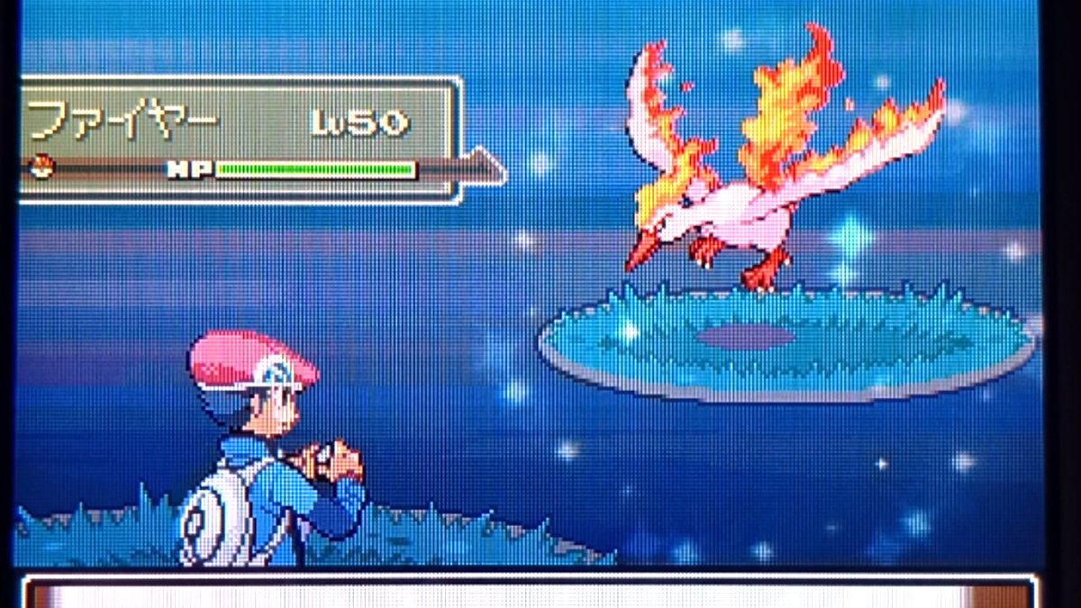 pokekirakira's tweet photo. ここすげえ！！！！！！！！

色違いがこんなに出てくるううううううううううううううううううううううううううううううううううううううううううううううううううううううううううううううううううう https://t.co/9L4CZGDg70