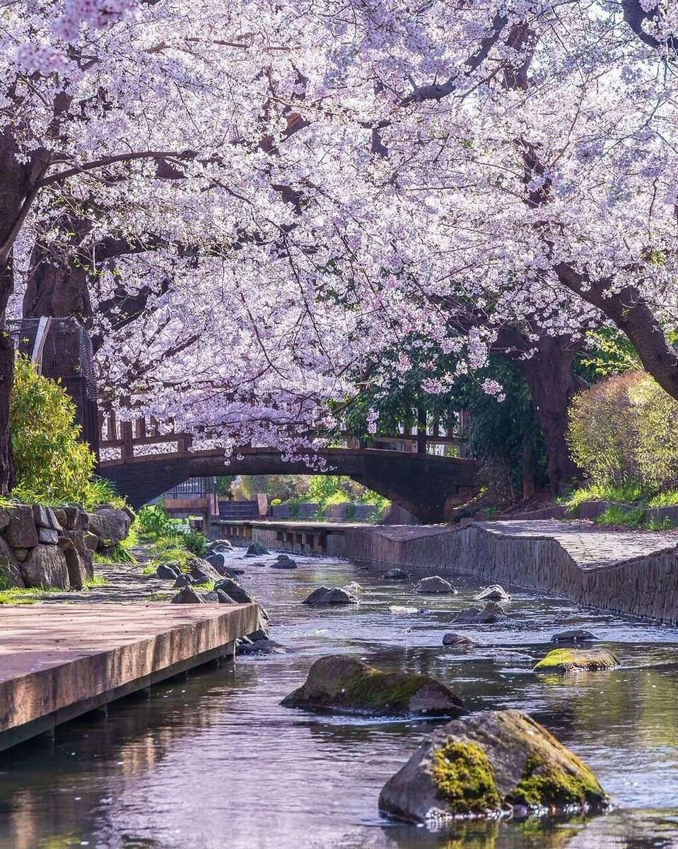 ebrunlu0's tweet photo. 窓の外を見ると、薄曇りの空が広がっている。そんな日は、ふらっとどこかへ出かけたいと毎回思うんだけど、自分には気軽に旅する勇気がない。コーヒーショップの前を通りすぎて一杯も飲まずに帰るなんて、何しに出たんだろう、と自己嫌悪。ああ、また明日も同じ景色だな。 https://t.co/JjiilctyRL