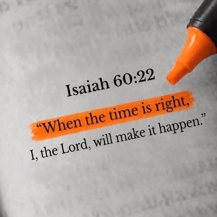 altinekasre1's tweet photo. “When the time is right, I, the LORD, will make it happen.”

Isaiah 60:22 https://t.co/uYE6FjqHoI
