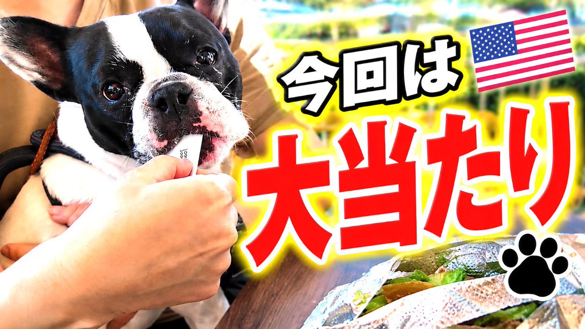 muta_muta116's tweet photo. 旅の最後にリベンジアウトレット！！
ペットフレンドリーすぎて、びっくり
YouTube公開しました！！
前回と全然違う🇺🇸旅の最後に見つけた最高のアウトレット https://t.co/eo9KzQFKro @YouTubeより https://t.co/VyYFB7io4V