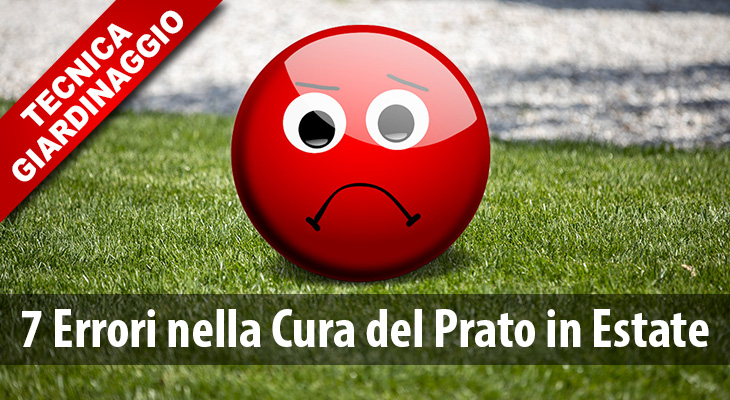 bestprato's tweet photo. 7 errori estivi che rovinano il tuo prato - https://t.co/cXJooMlzCg https://t.co/NEGe1XL1p6