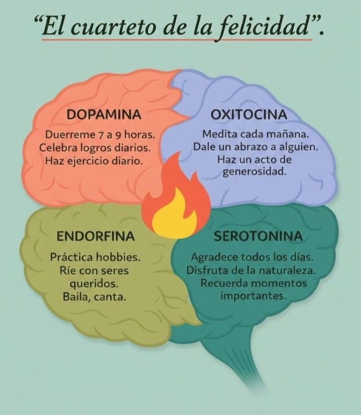 MindBodyIsLife's tweet photo. EL CUARTETO DE LA FELICIDAD🧠

DOPAMINA

Duerme 7 a 9 horas.
Celebra logros diarios.
Haz ejercicio diario.

OXITOCINA

Medita cada mañana.
Dale un abrazo a alguien.
Haz un acto de generosidad.

ENDORFINA

Practica hobbies.
Ríe con seres queridos.
Baila, canta.

SEROTONINA

Agradece todos los días.
Disfruta de la naturaleza.
Recuerda momentos importantes.