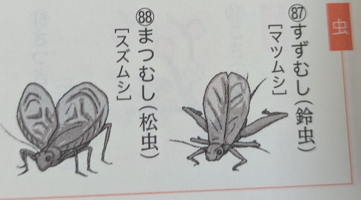 OKT_OMC's tweet photo. 古文単語帳にこんなん載ってて発狂 https://t.co/deCsfEqApA
