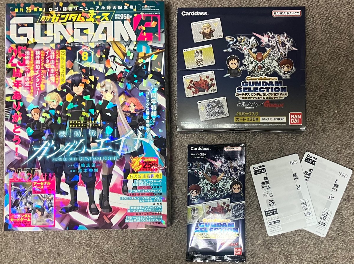 買ってきた(｀・∀・´) 『ガンダムエース』は横井画伯のロング