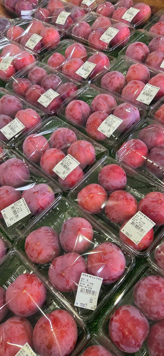 50Vlog1's tweet photo. 旬の桃を買うために山梨へ🍑
この時期の山梨は最高！
桃、ブルーベリー、すもも、さくらんぼとたくさん購入しました
これから静岡へ🚗³₃
#道の駅富士川 https://t.co/pYCK47nxmi