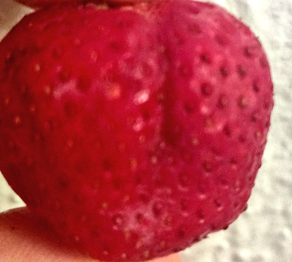 untamed_dex's tweet photo. @HatsuVTuber I say strawberry 🍓 buns to that! https://t.co/FbtOVjZL66
