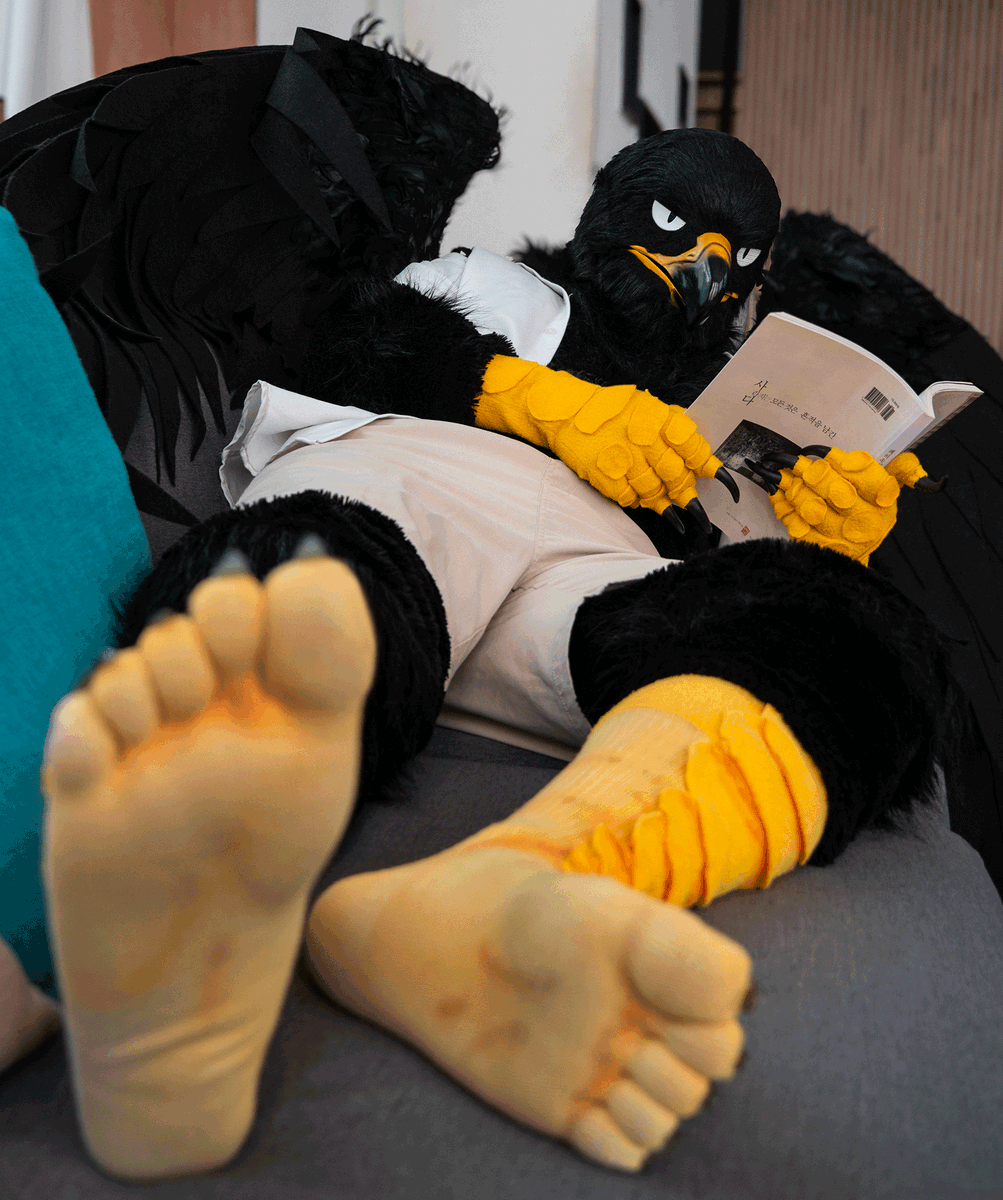 blacksea227's tweet photo. 책을 많이 읽도록 해.
#fursuitEveryday https://t.co/MhBagFjJaQ