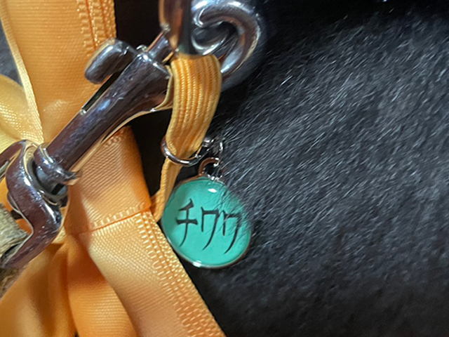 retro_JAM's tweet photo. ＼新商品／
「メタルチャーム」と「レザータグ」が登場🐶

JAMのお店で、新しく「メタルチャーム」と「レザータグ」が作れるようになりました！

ピンズや缶バッジと同じように、お好きなデザインを1個から作成できます◎
バッグやポーチ、鍵などのワンポイントにぴったりです！

▽詳細はこちら🐈
https://t.co/VHDClXDInQ