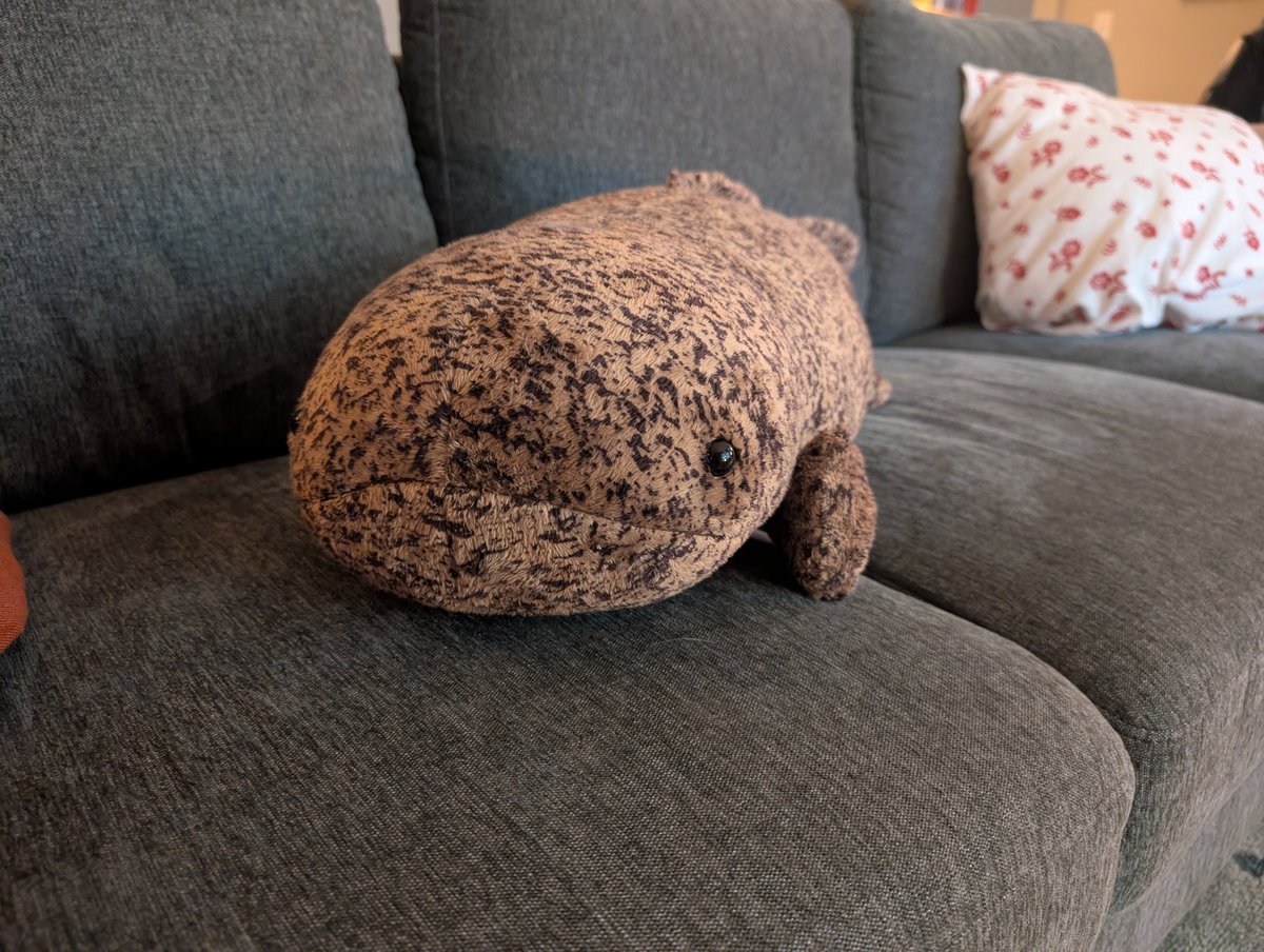 Chives_Dylan's tweet photo. One of my most famous purchases I have made. https://t.co/JakQRf9EVK