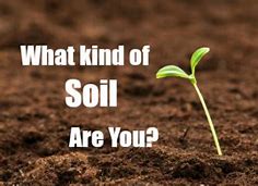 EMUChapel's tweet photo. 10 AM: Service at Faith Lutheran (Bible Study 9 AM) - 10:40 AM: Service at Cross and Res, The Chapel at EMU. Series with Pastor Bryan: "What We Believe: The Word Grows, So Sow!" https://t.co/yTJBJ2mX9k. All Welcome! #ypsi #emu https://t.co/hx4LLj5KdK