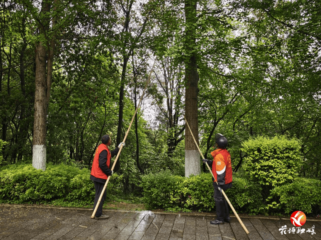 thomasquer's tweet photo. Join our neighborhood park clean-up this Sunday, 9 AM! Gloves u0026 snacks provided—help keep our community green! https://t.co/x9PsJOqY7R