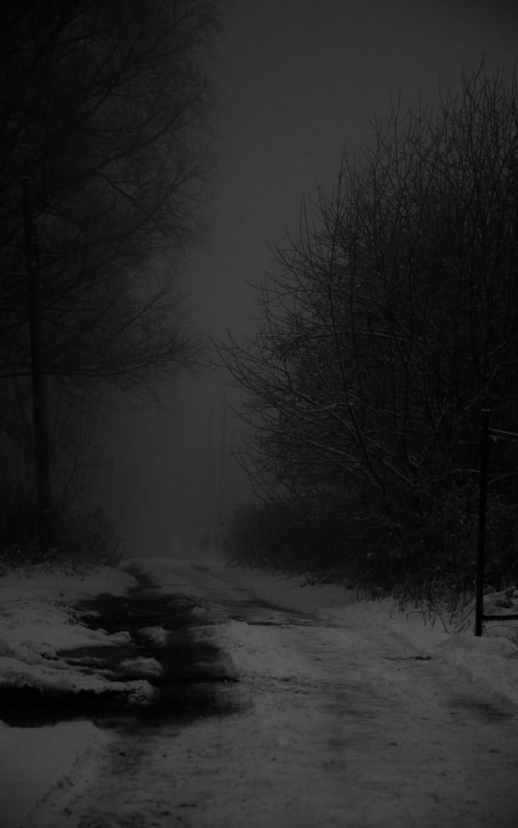 NIN75_'s tweet photo. Winter grey........ https://t.co/zpqoWXKWhV